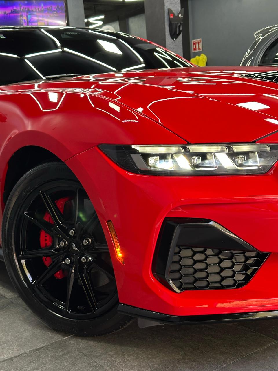 servicio de exteriores