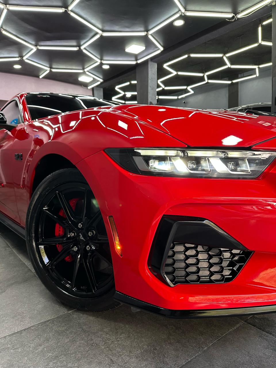 servicio de exteriores