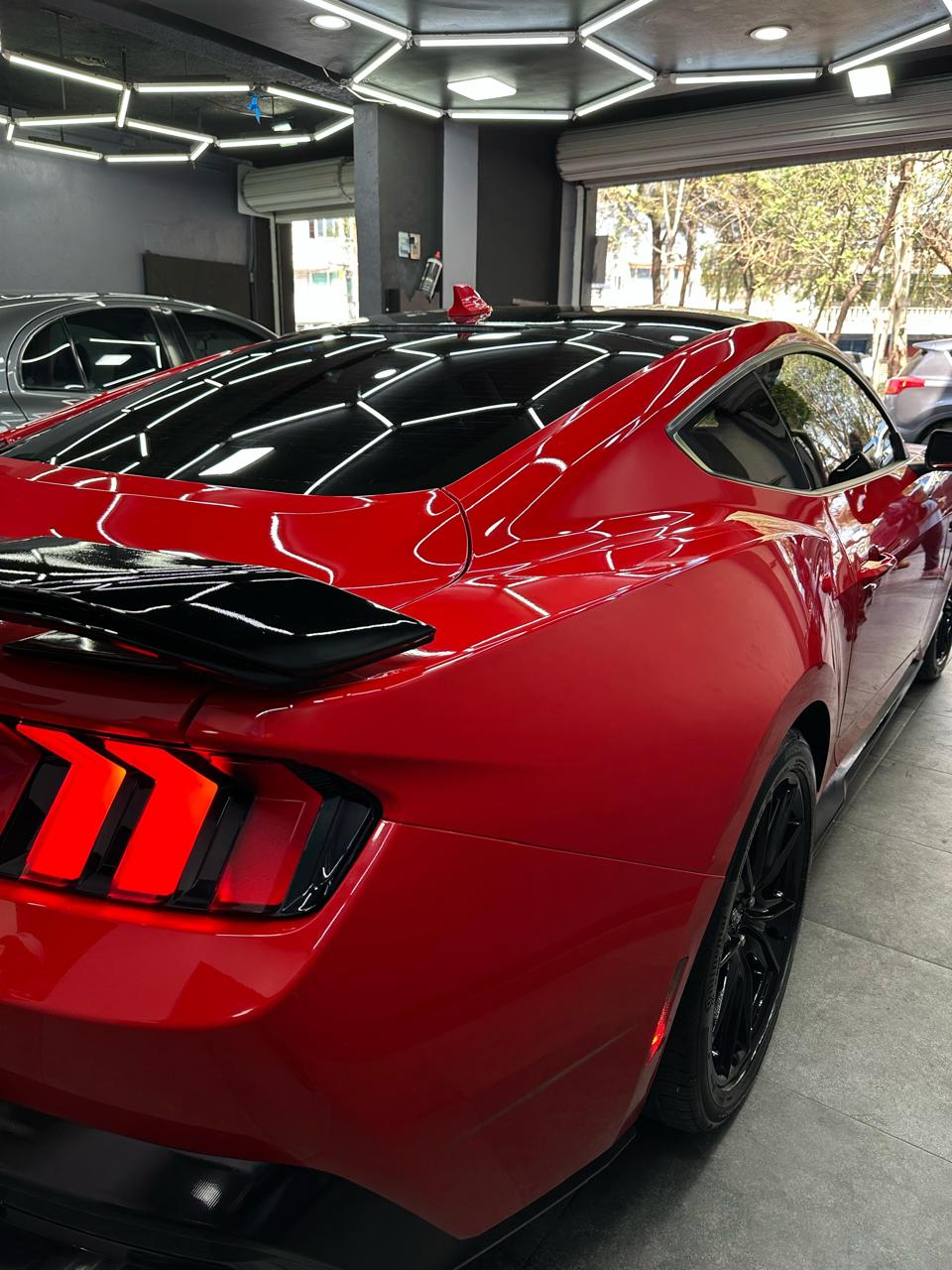 servicio de exteriores