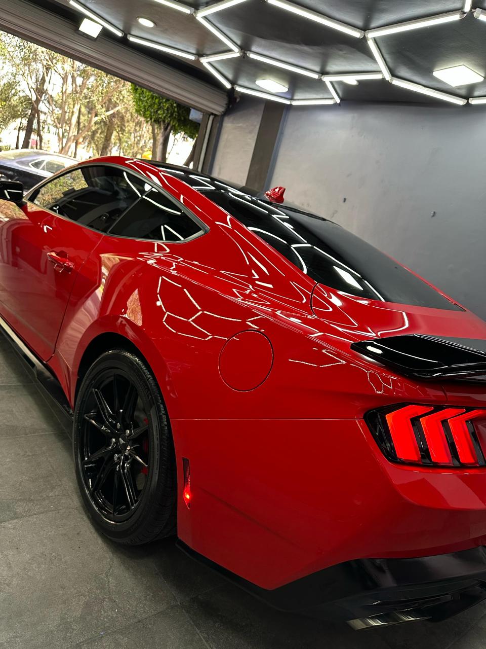 servicio de exteriores